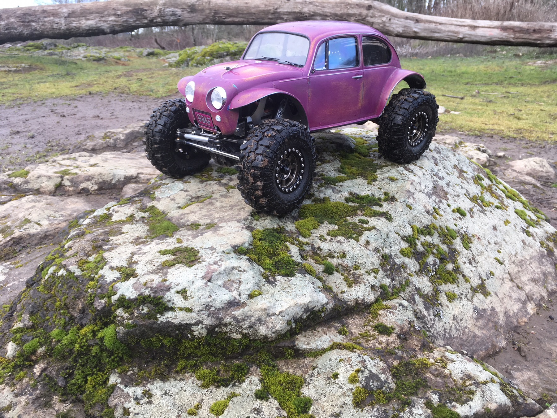 Sand sales scorcher crawler